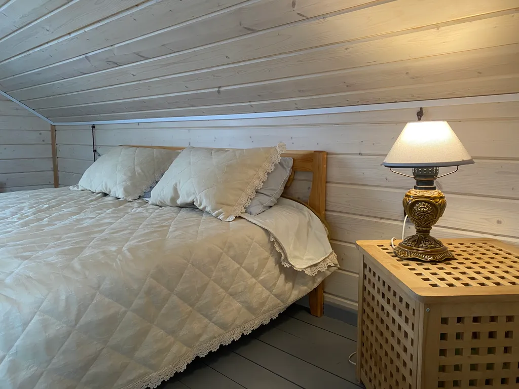 Домик в Плесе