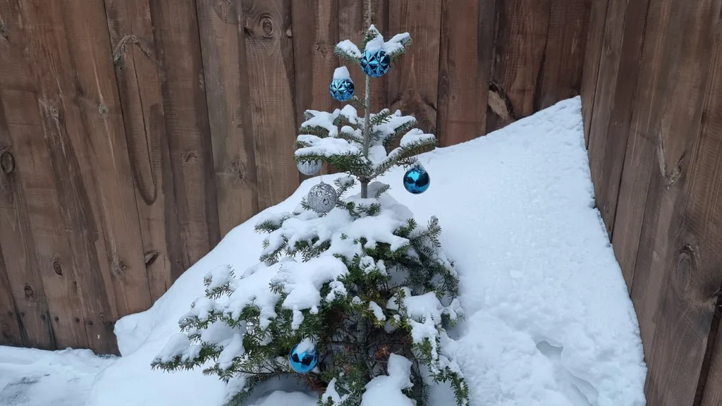 Дом с русской баней, джакузи и уличным чаном