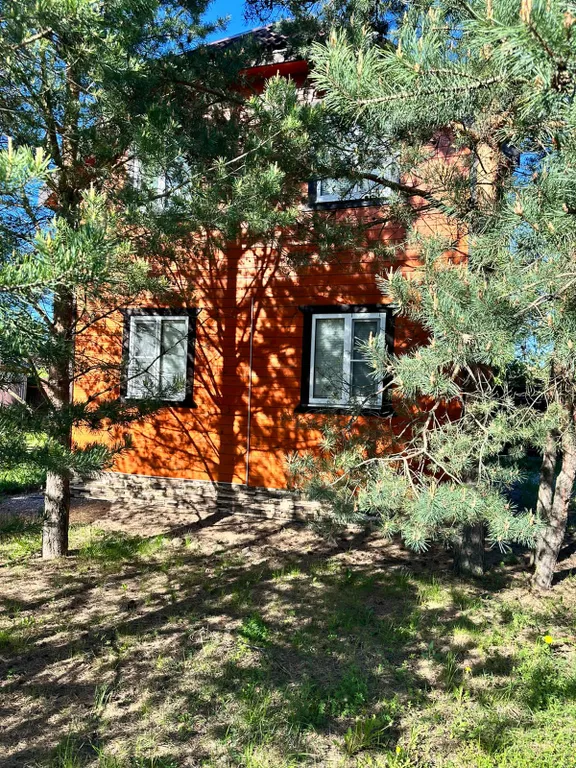 Dream Forest & River PZ