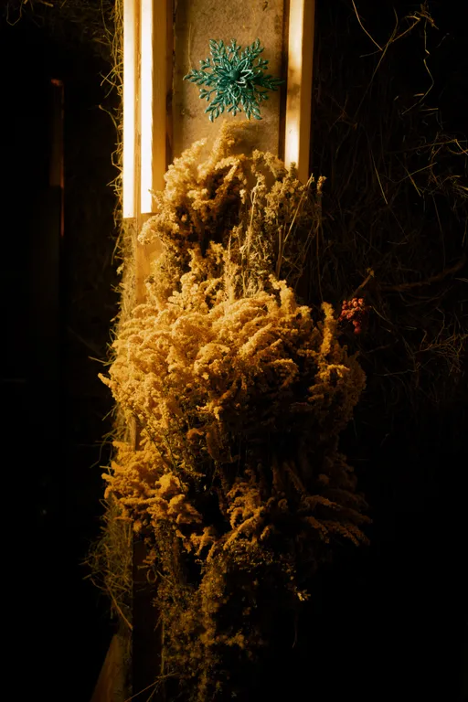 Арт-баня дюпло возле реки в окружении реликтового леса