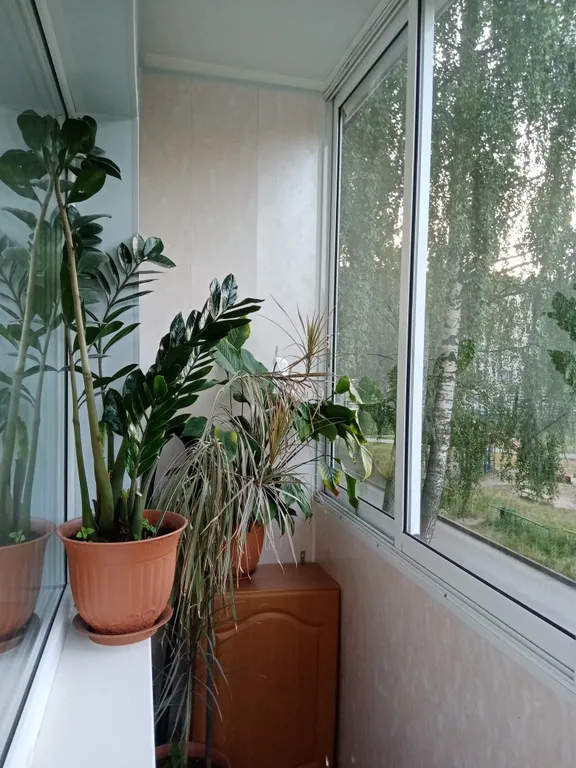 Уютная квартира, рядом с парком