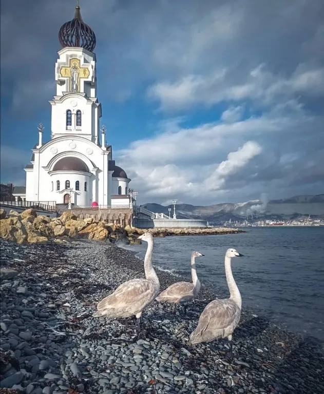 Уютная квартира с лучшим видом в городе