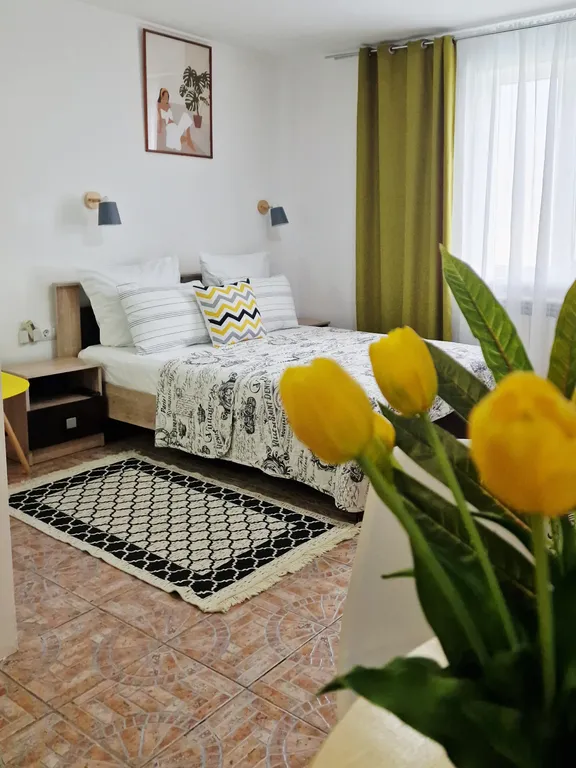 Квартира Квартира Зеленая студия с мини кухней, тихий центр — Геленджик