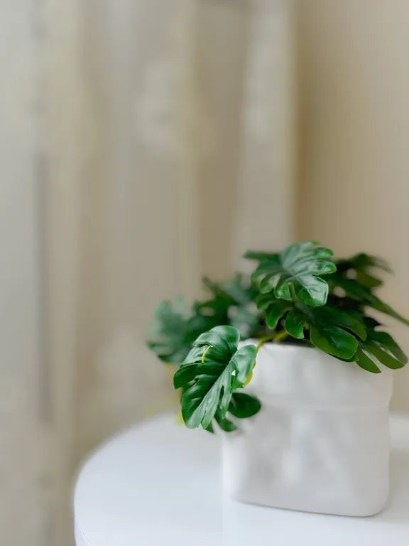 Уютная квартира с видом на горы