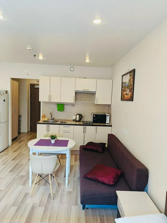 Квартира «Уютная квартира» От  метро 5 мин. — Санкт-Петербург