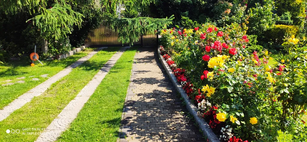 Небольшая дружелюбная студия с патио