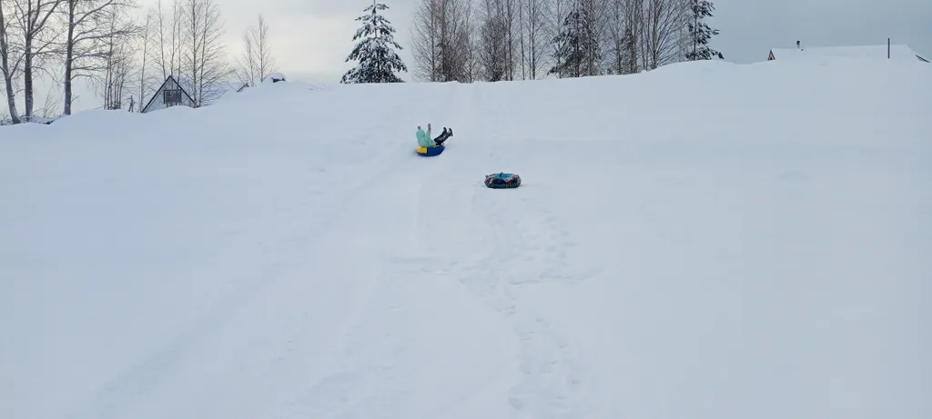 Дом с баней на берегу Северной Двины