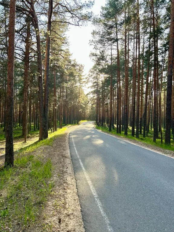 Домик в Поддубье в стиле БарнХаус
