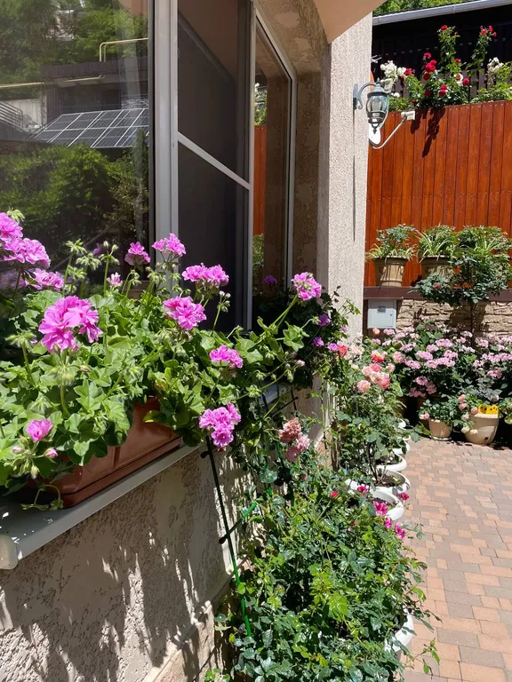 Апартаменты двухкомнатные на первом этаже - 7 мест