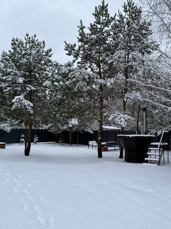 Уютный домик у леса