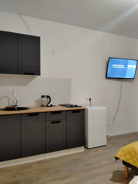 Квартира 1-комнатная Квартира — Мисайлово