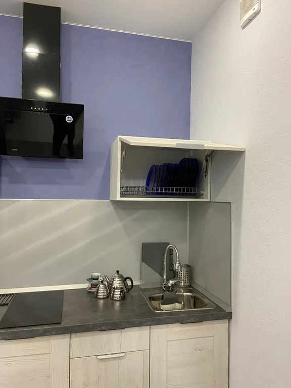 Апартамент с видом на Онежское озеро