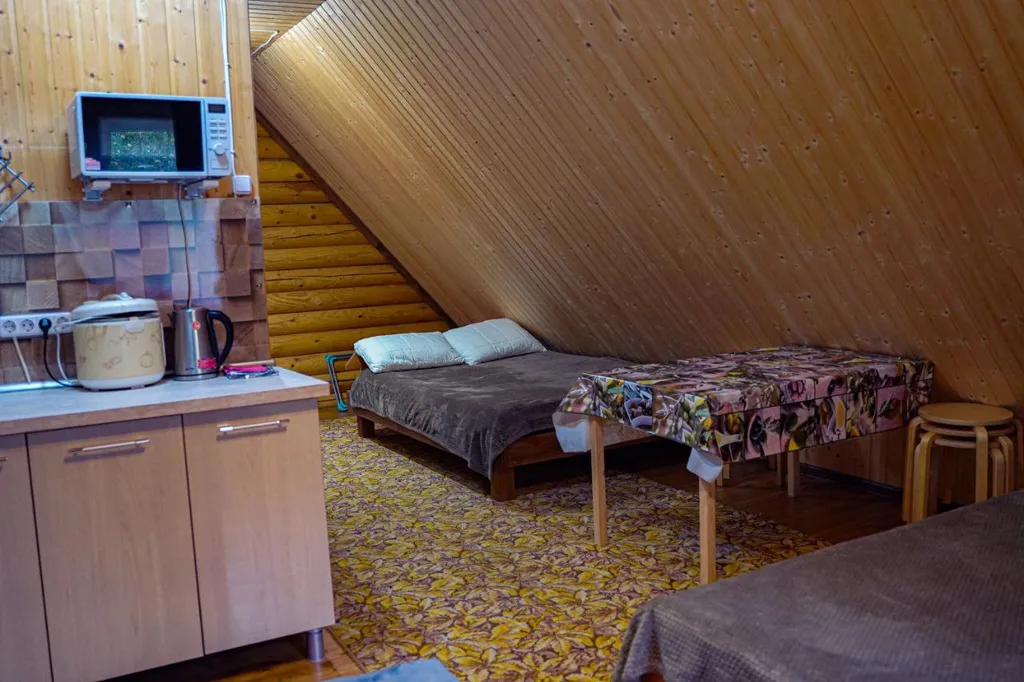 Просторная студия с беседкой