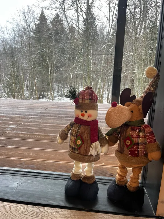 Дом Огонёк для 4 гостей с видом на лес