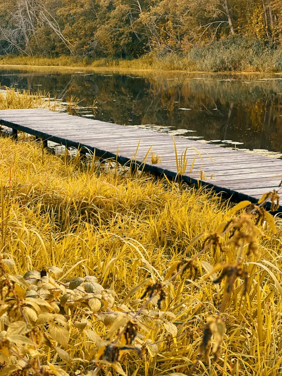 Коттедж Треугольный коттедж на берегу реки Лава — Ручьи