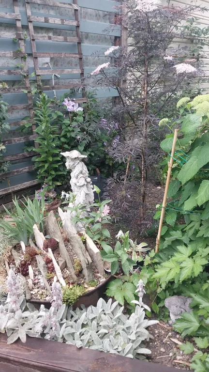 Домик с удобствами и кухней Персиковая поляна