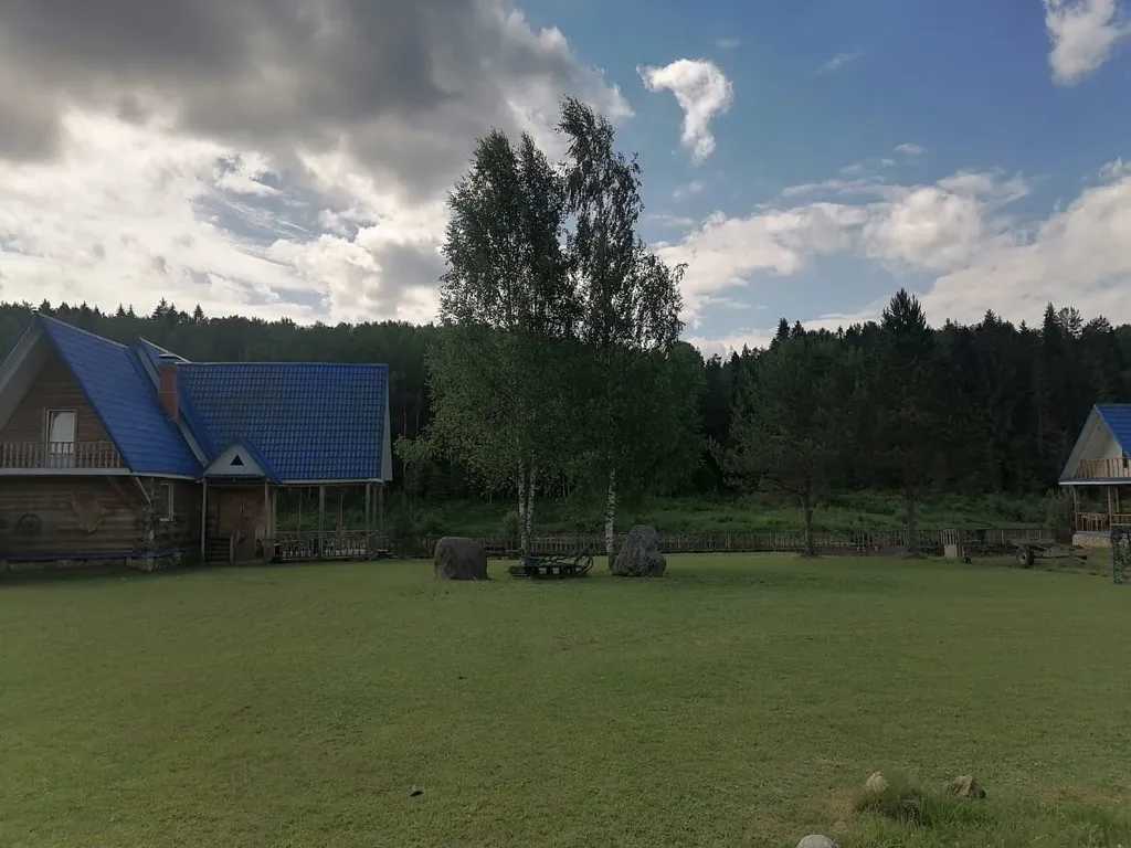 Домики в лесу на берегу реки Волге