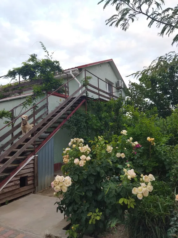 Квартира Уютная мансарда 35 м² в частном доме в 15 минутах ходьбы до моря — аренда посуточно в Мысовое