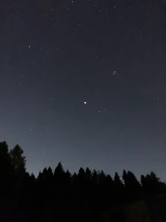 Модолицы хаус