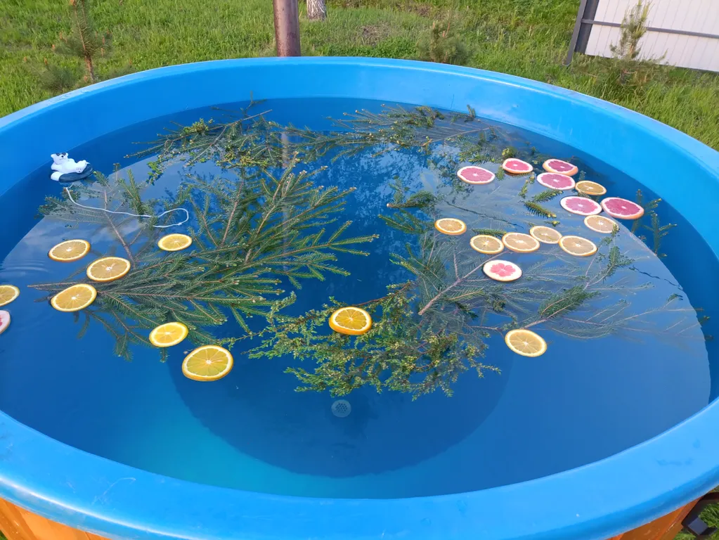 Дом с купелью