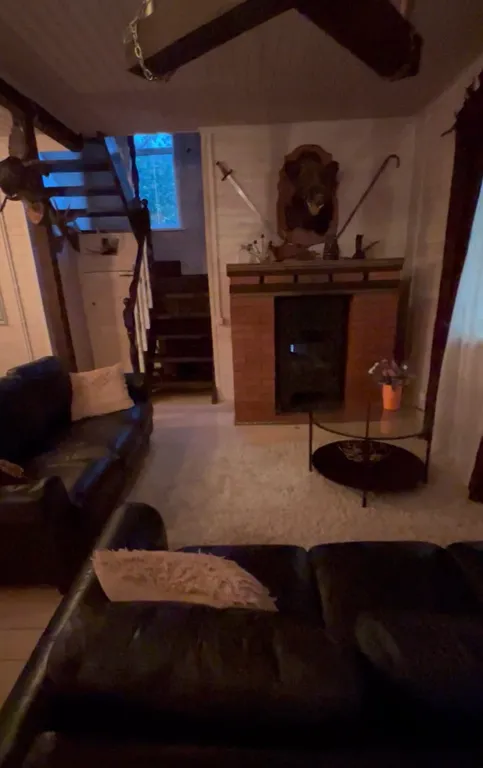 Загородный уютный дом для семейного отдыха