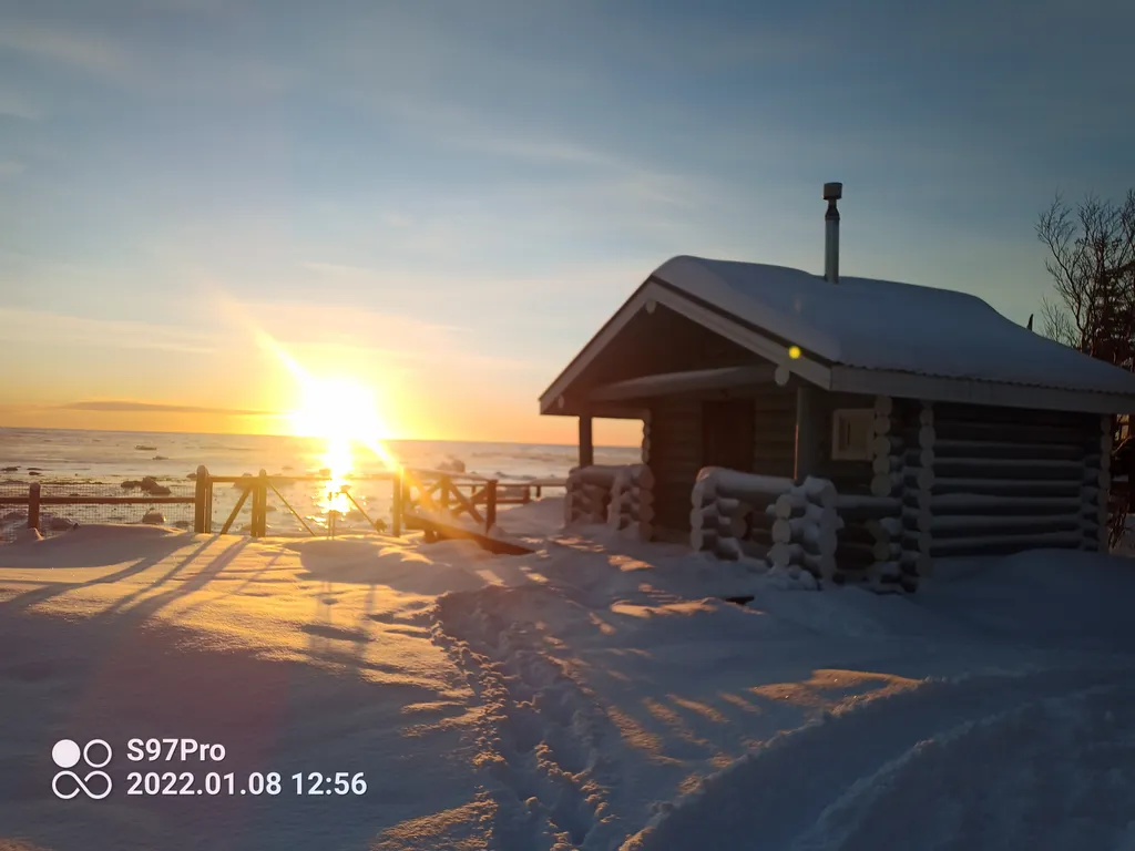 Шале из большого бревна