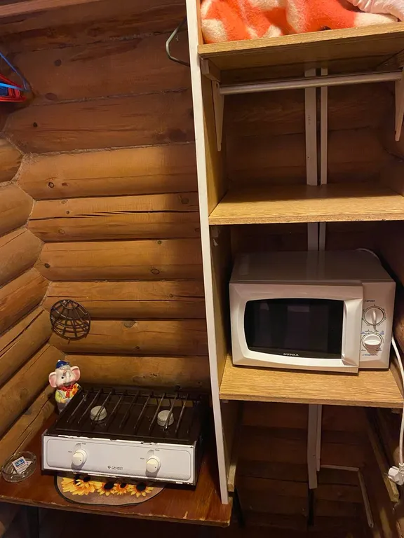 Дом в сосновом бору