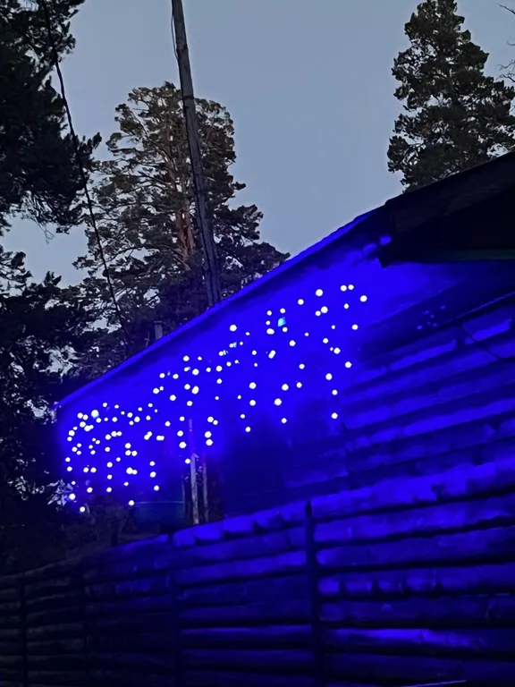 Отдых в Бузулукском бору круглый год с выходом в лес.