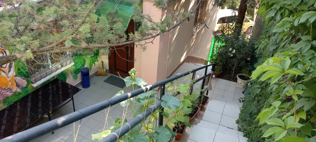 Дом в Милютинском парке