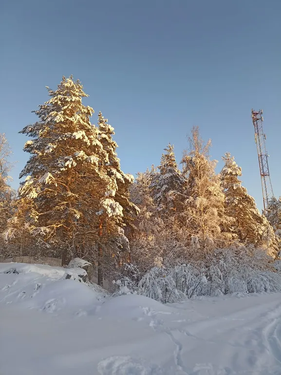 Уютный домик в живописном месте