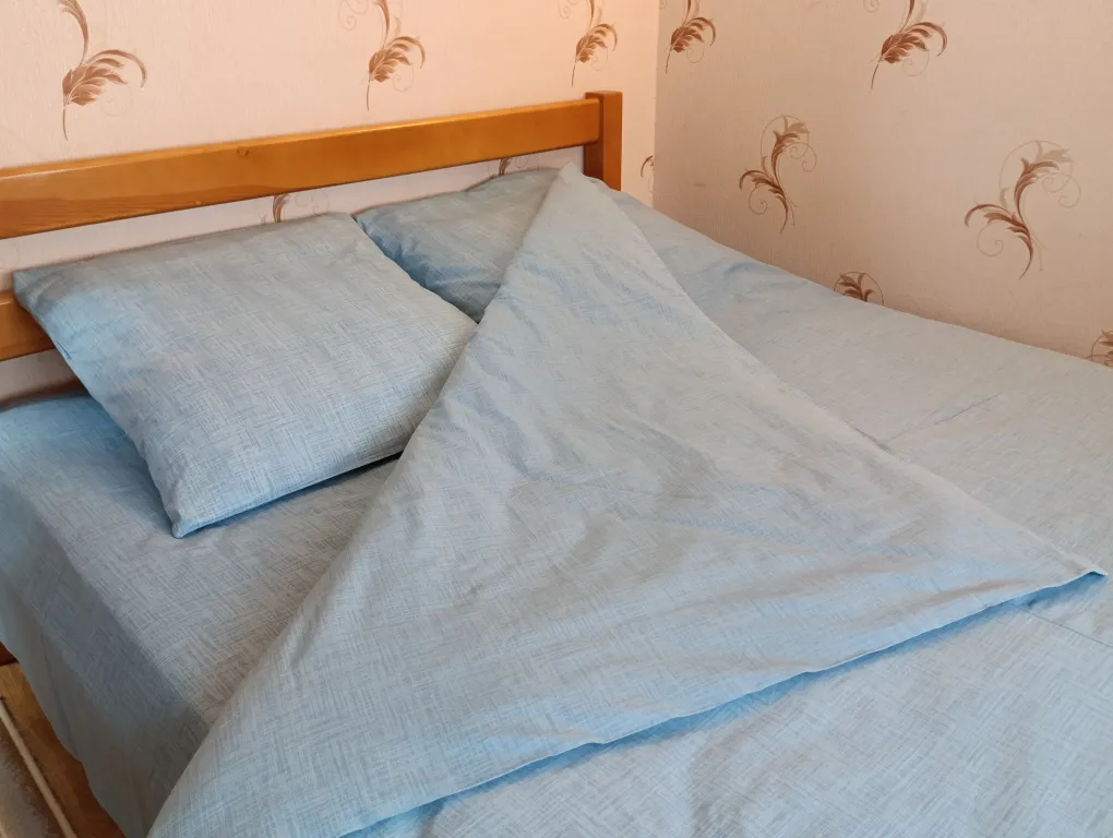 Двухкомнатная Мини в центре