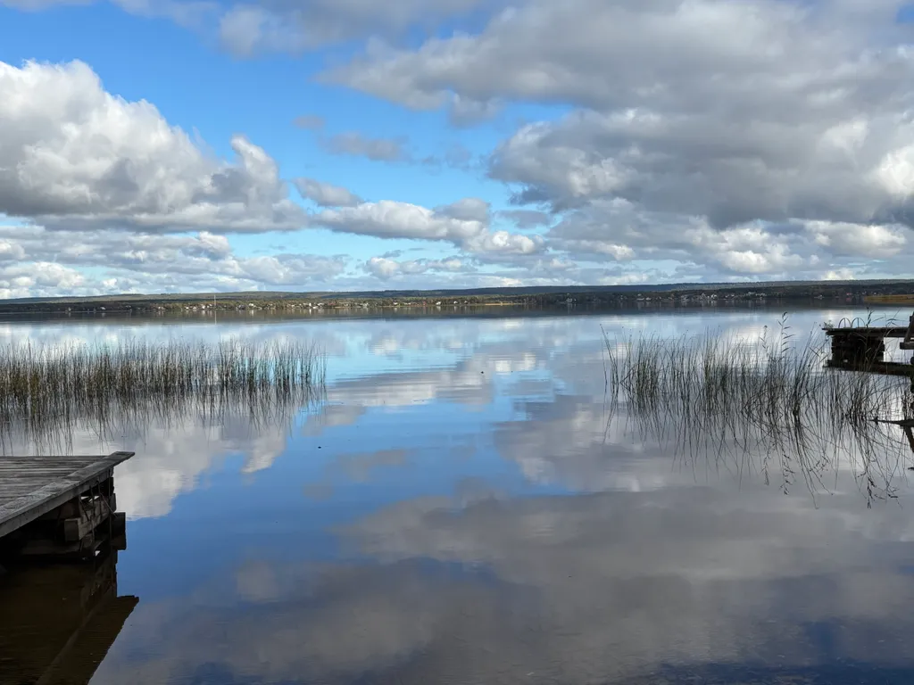 Уютный дом, баня на дровах, банный чан в сосновом бору Петрозаводска