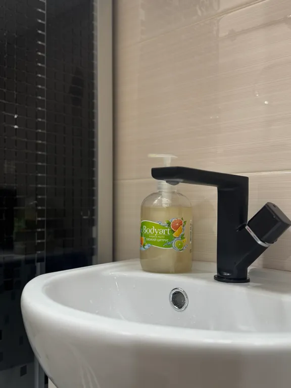 Студия с 2 кроватями, трёхместная