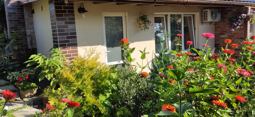 Небольшая дружелюбная студия с патио