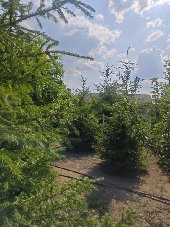 Гостевой дом У Натальи