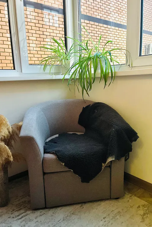 Уютная квартира у моря