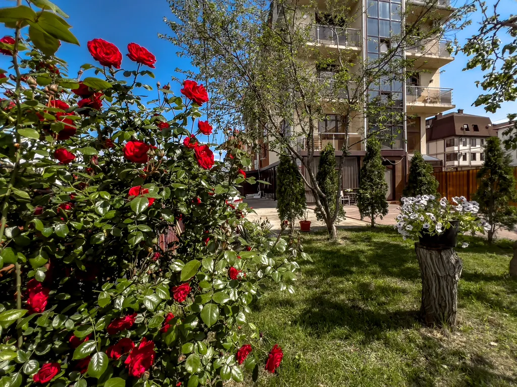 Апартамент в 5 минутах от моря с видом на зеленый парк