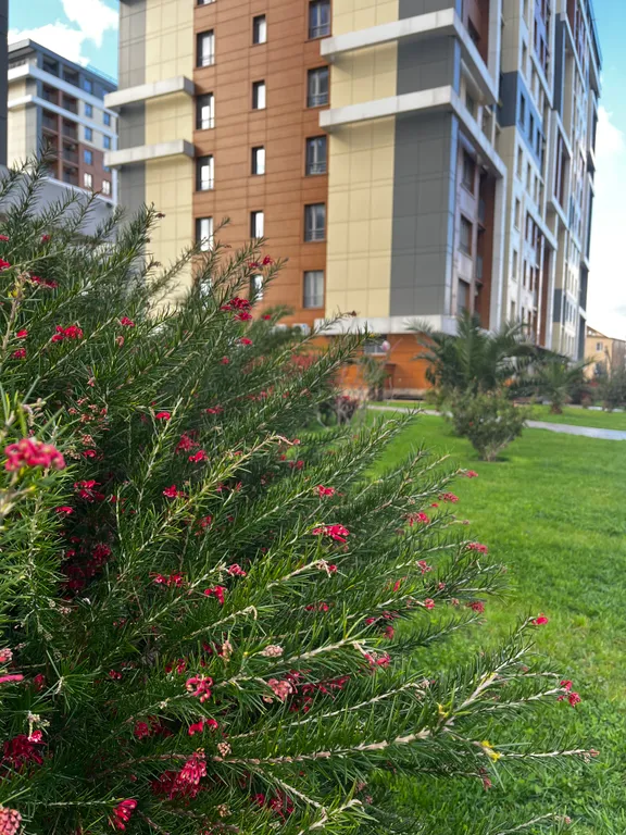 Студия в ЖК Каравелла Португалии