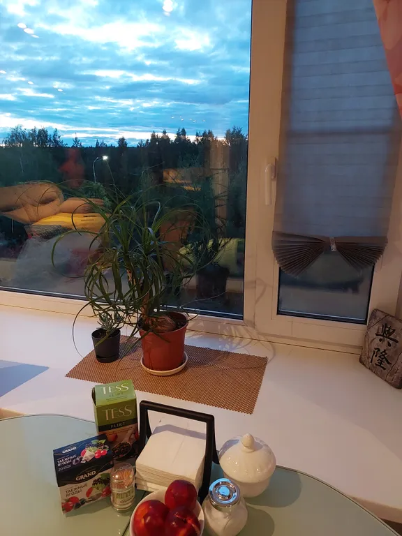 Комфортная и уютная квартира