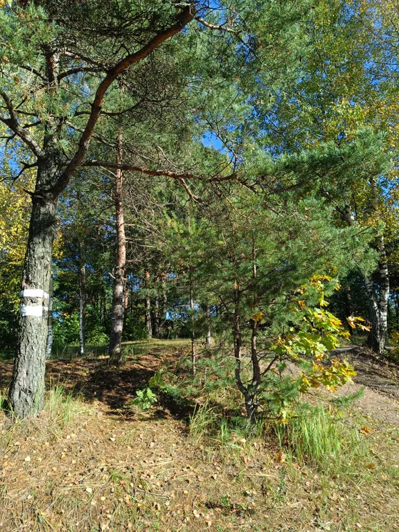 Красивый уютный дом у озера