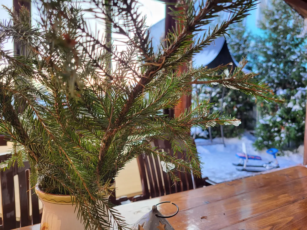 Коттедж Комфортный коттедж с баней, камином и мангальной зоной — Дракино