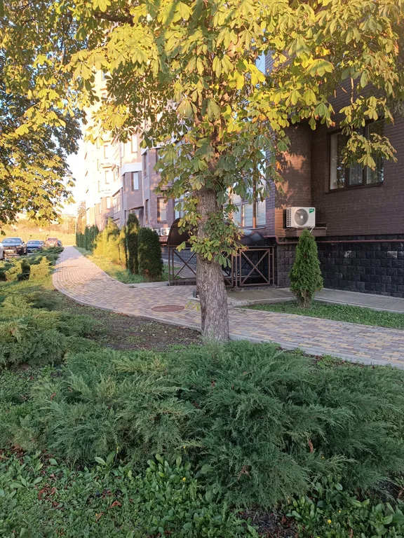 Уютная квартира с видом на горы и весенний пруд.