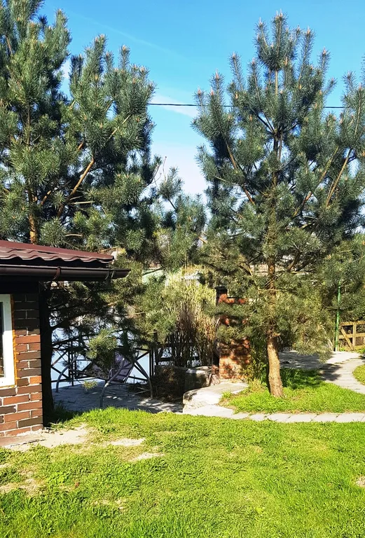 Дом с шикарной беседкой на озере