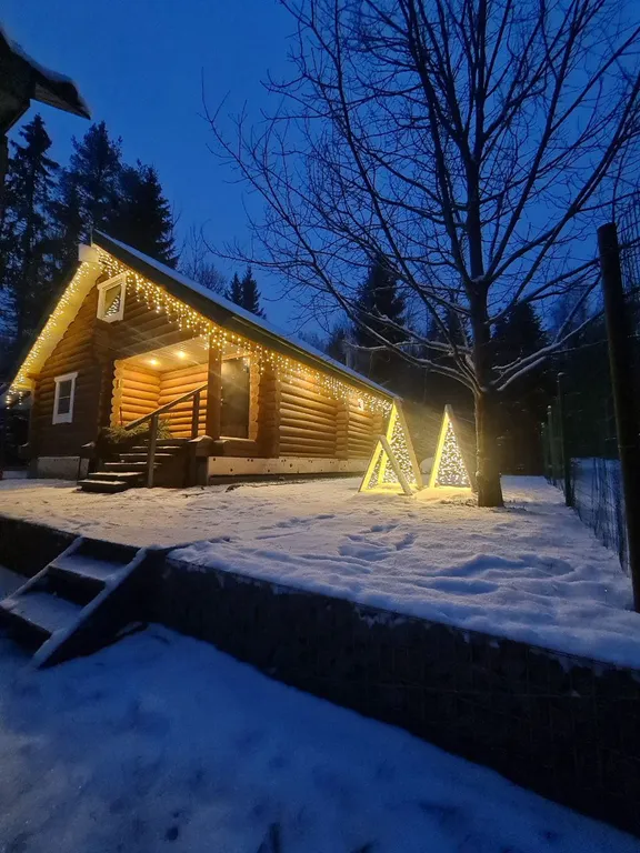 Коттедж Дом в лесу — аренда посуточно в Выборг