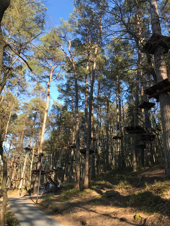 Апартаменты с видом на лес