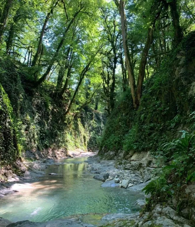 Квартира Квартира Уютный номер в Лесном Тереме — Беранда
