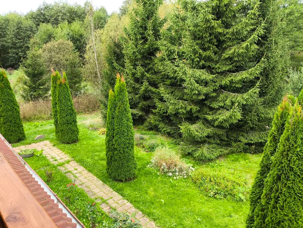 Агроусадьба на уединенном хуторе