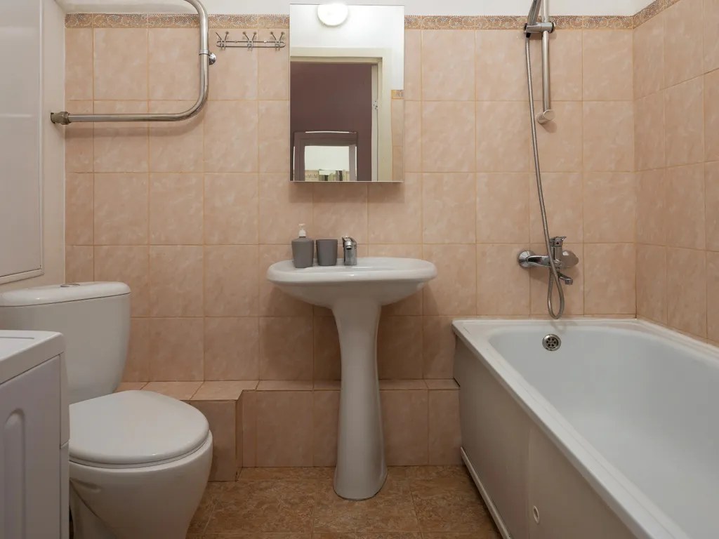 Просторная студия в пригороде Лесное