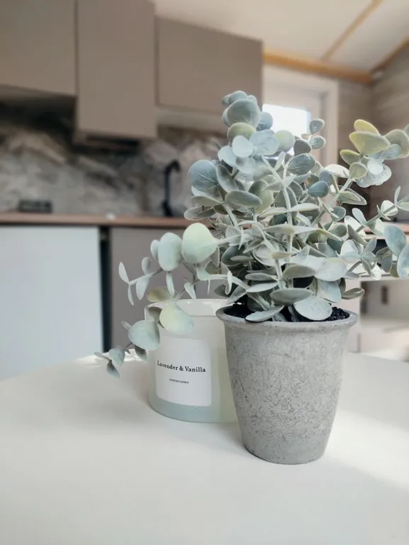 Коттедж Загородный домик с беседкой и зоной барбекю — Рябово