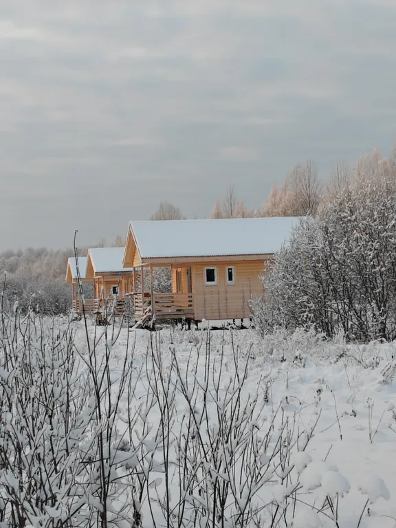 Коттедж Дом с видом на лес база Карловка — Чудово